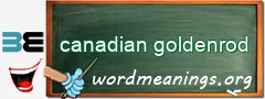 WordMeaning blackboard for canadian goldenrod